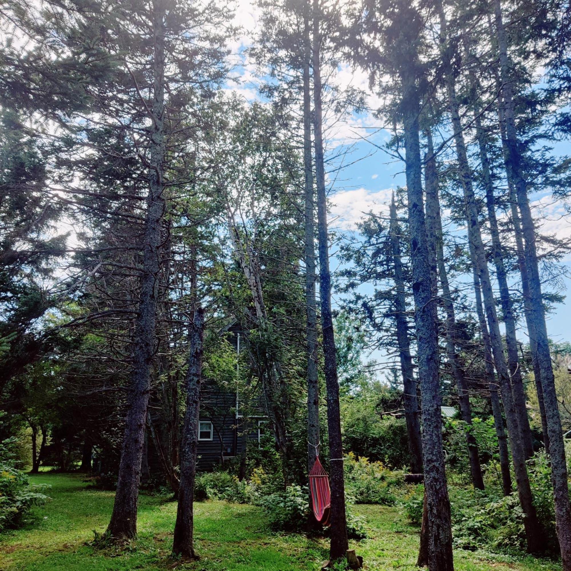 Avonlea Forest Hill Cottages New Glasgow ภายนอก รูปภาพ